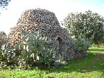 I Trulli di Maruggio